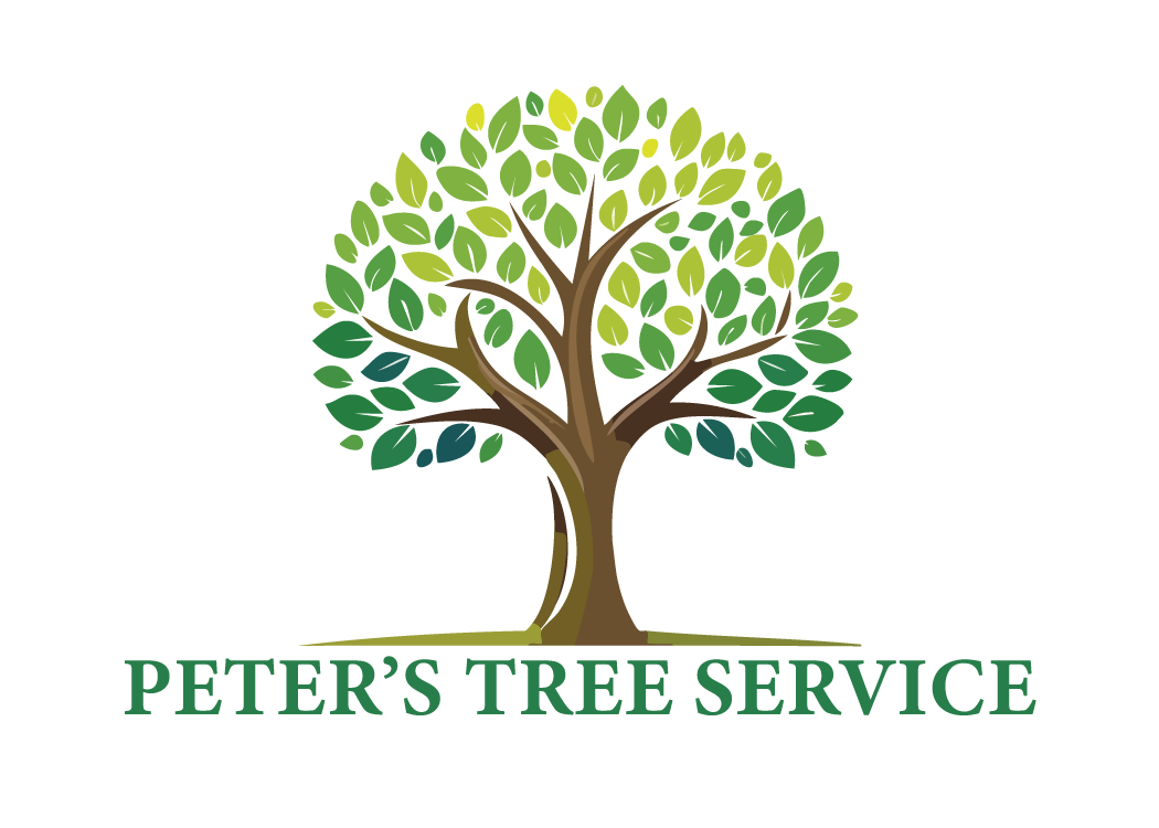Peter's Tree Service