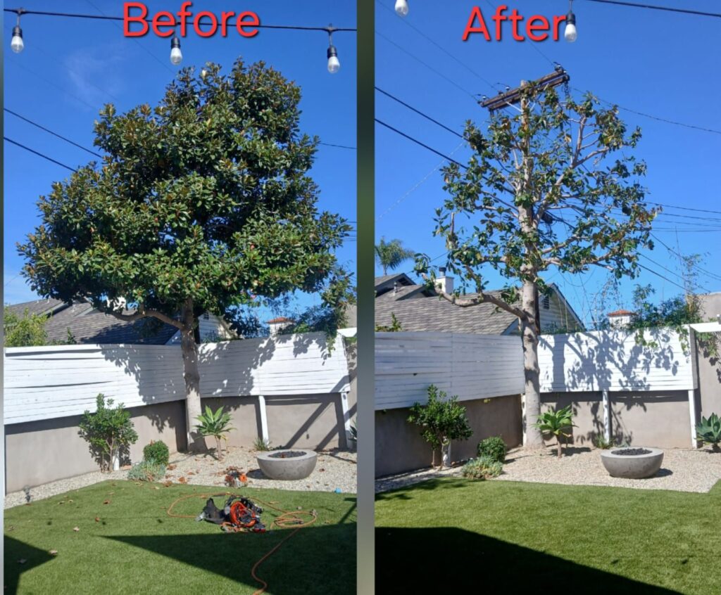 Tree Service National City